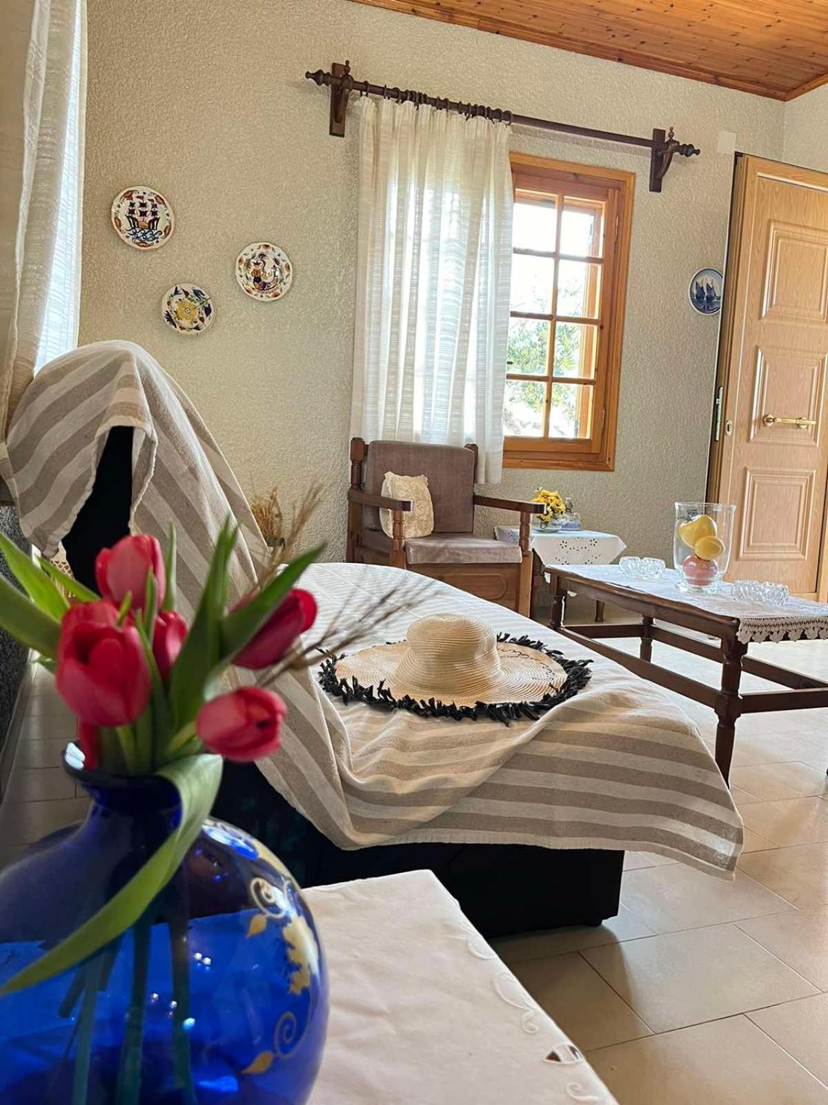 Appartement Rustic And Spacious House Mytilinioi